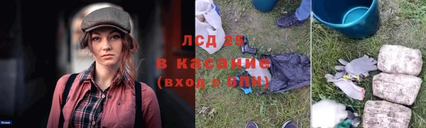 кокс Алексин
