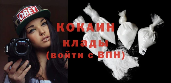 кокс Алексин