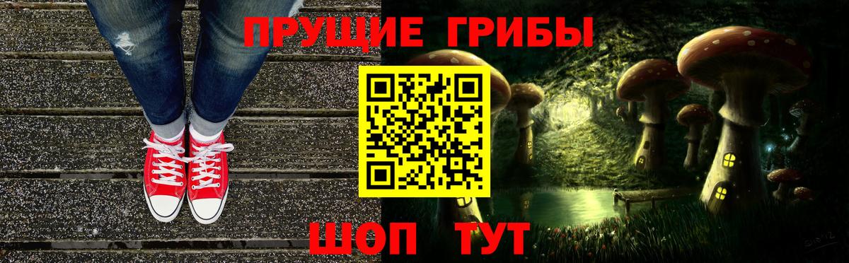 Псилоцибиновые грибы мухоморы  Вход с VPN  Димитровград 